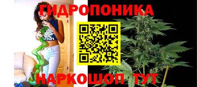 спиды Волжск