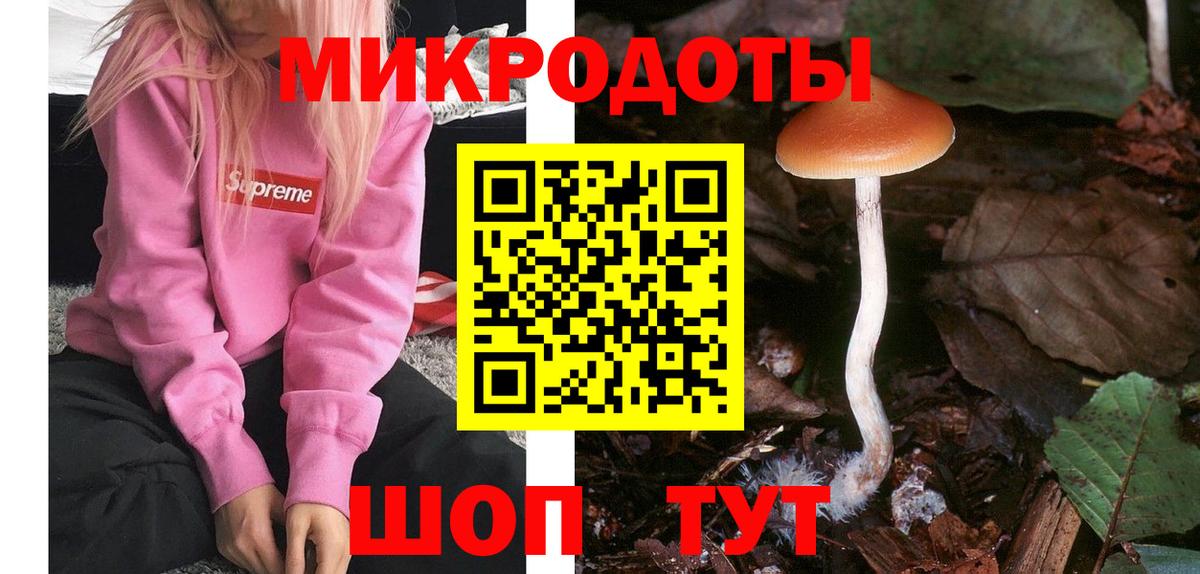 Дедовск  Псилоцибиновые грибы мицелий  Вход с VPN 